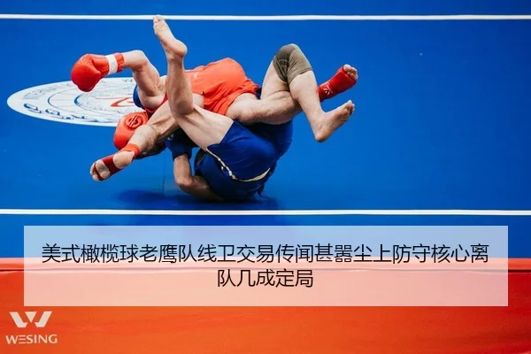 mei-shi-gan-lan-qiu-lao-ying-dui-xian-wei-jiao-yi-chuan-wen-shen-xiao-chen-shang-fang-shou-he-xin-li-dui-ji-cheng-ding-2-358.jpg